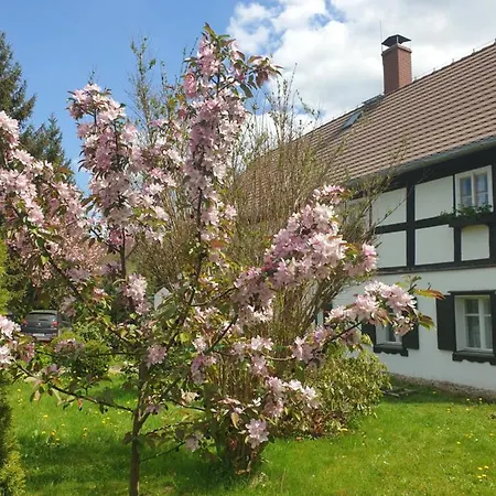 Bed & Breakfast Lusatia Farm *