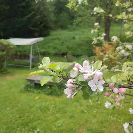 Bed & Breakfast Lusatia Farm *