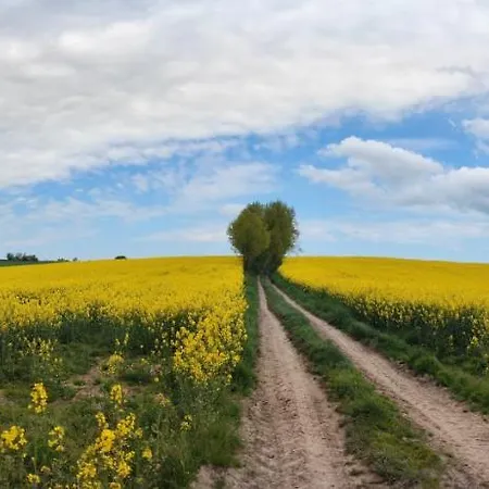 Lusatia Farm *