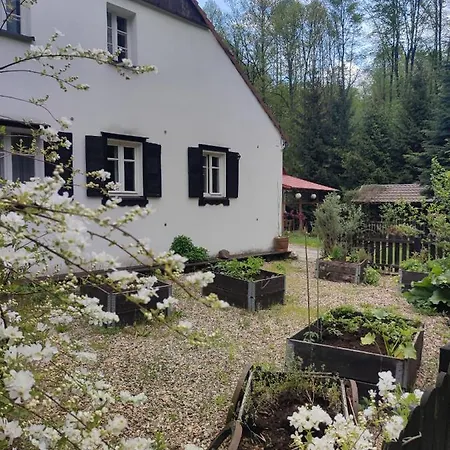 Bed & Breakfast Lusatia Farm *