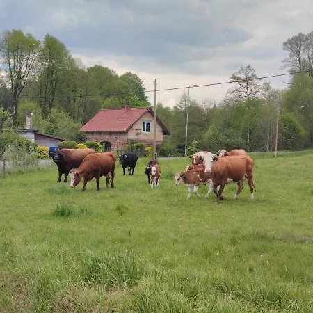 Lusatia Farm 3* Leśna