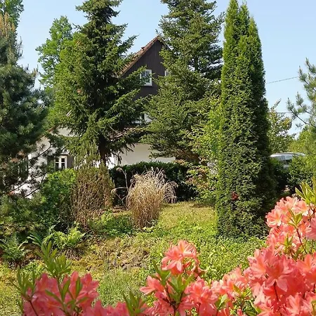 Bed & Breakfast Lusatia Farm