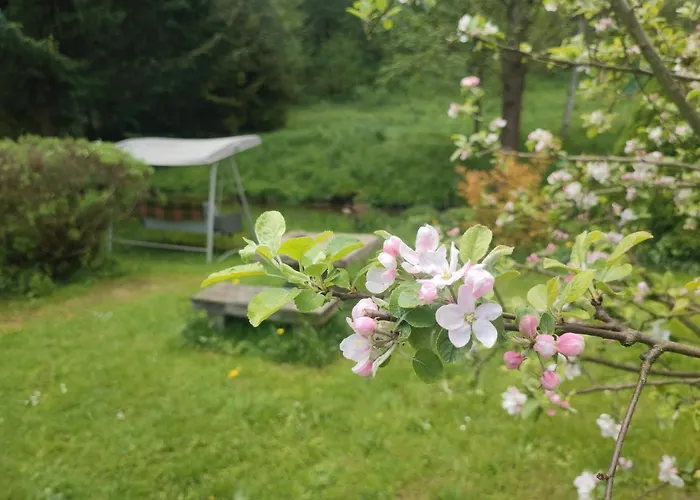 Oda ve Kahvaltı Lusatia Farm 3*